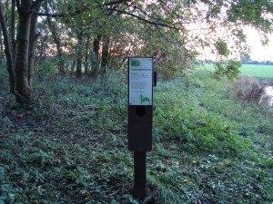 1e terrein aan het riviertje de Donge