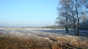 Verstild landschap